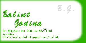 balint godina business card